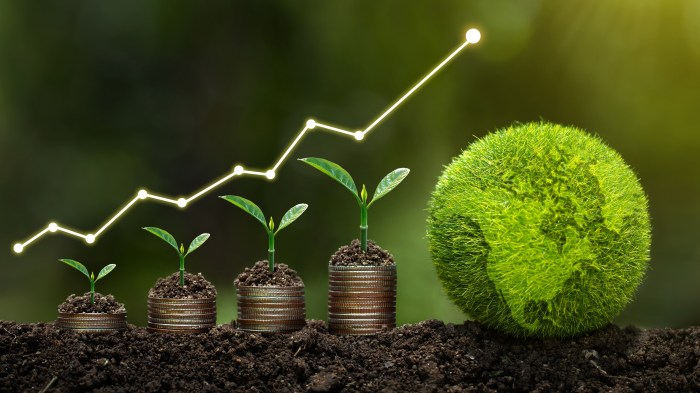 Investment esg sustainable sustainability examples factors funds assets processes australia